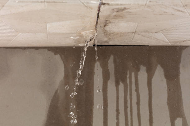 Professional Burst Pipe Cleanup technician working in Valencia, CA